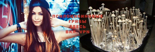 каннабис Белокуриха